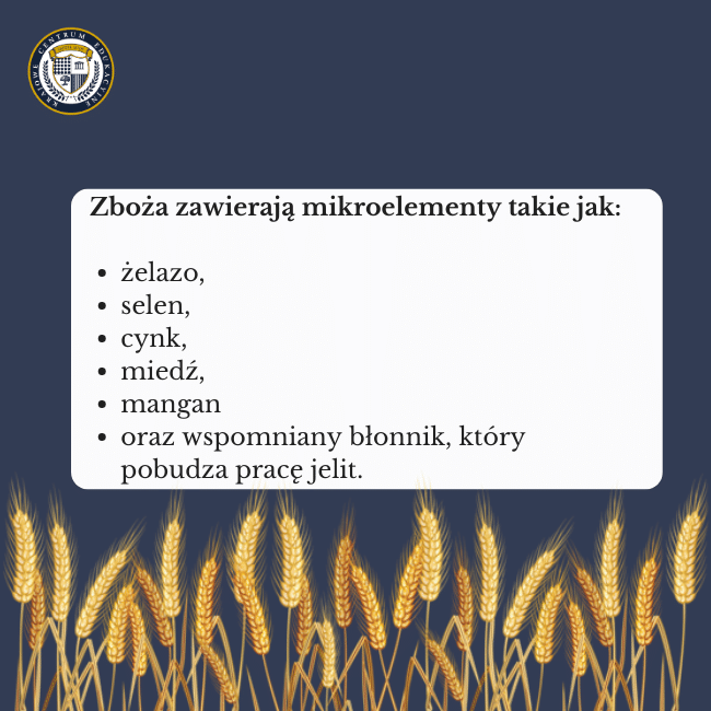 Granatowe tło i grafika zbóż na dole. Napis na środku: Zboża zawierają mikroelementy takie jak:żelazo, selen, cynk, miedź, mangan oraz wspomniany błonnik, który pobudza pracę jelit.