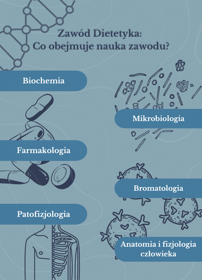 Infografika Zawód Dietetyka Co obejmuje nauka zawodu