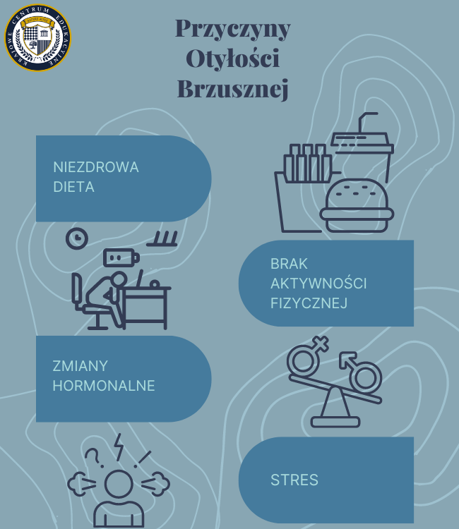 Infografika - przyczyny otyłości brzusznej: niezdrowa dieta, brak aktywności fizycznej, zmiany hormonalne, stres