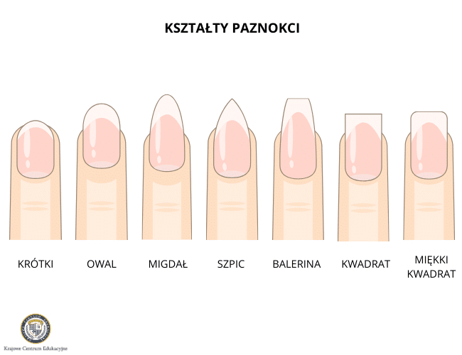 Kształty paznokci - od lewej: krótki, owal, migdał, szpic, balerina, kwadrat, miękki kwadrat